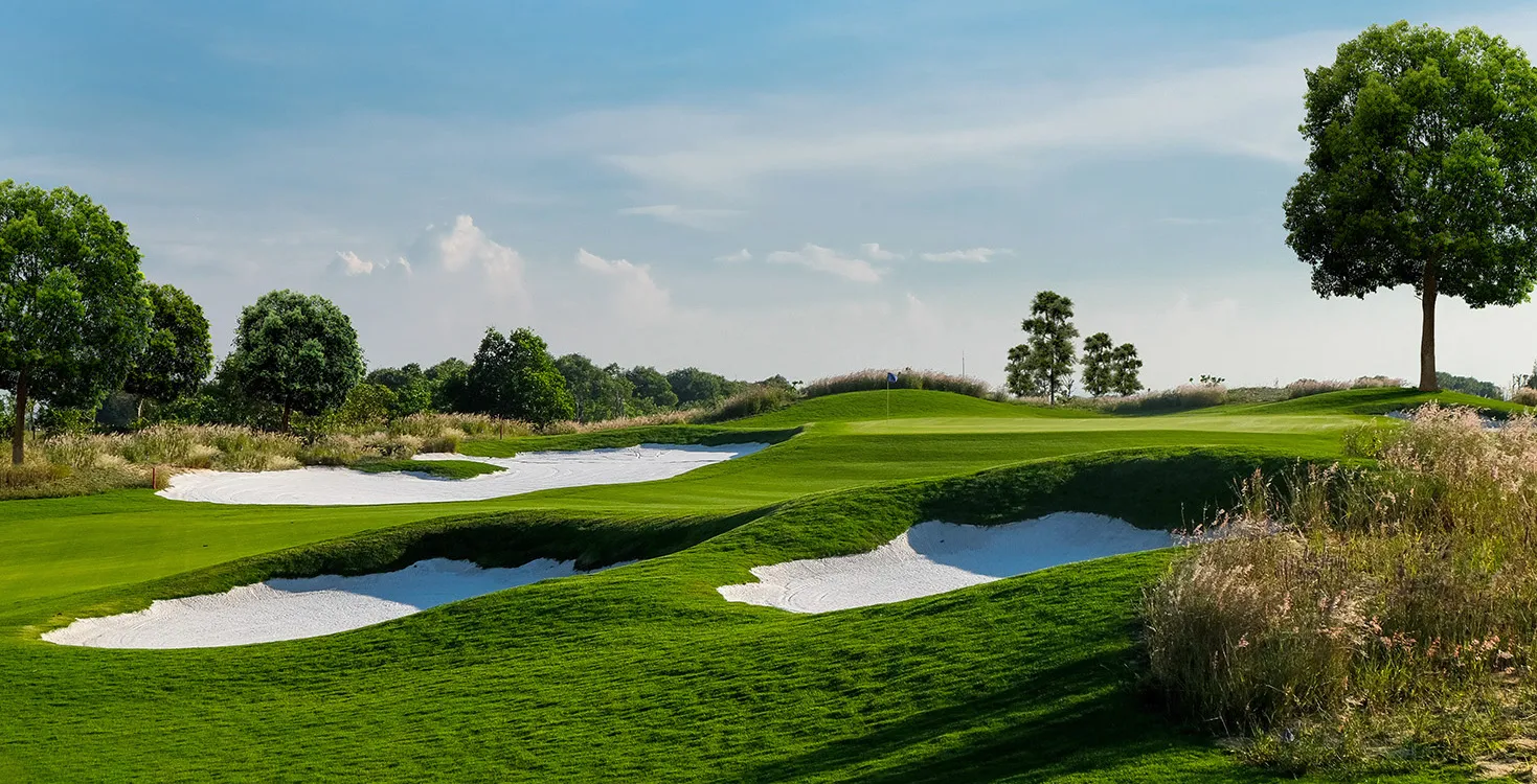 IMG-designed course