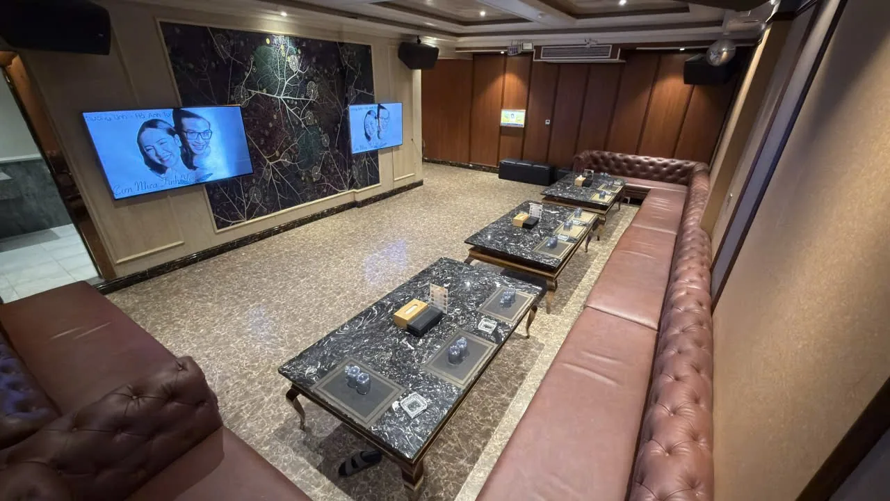 Audi Karaoke large room